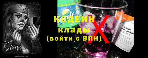 индика Балабаново